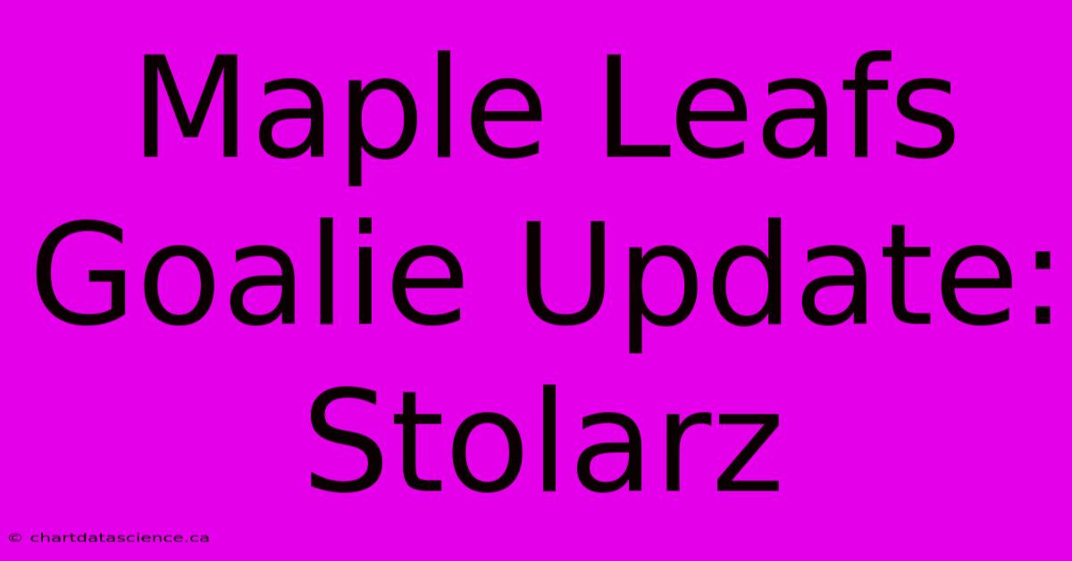 Maple Leafs Goalie Update: Stolarz