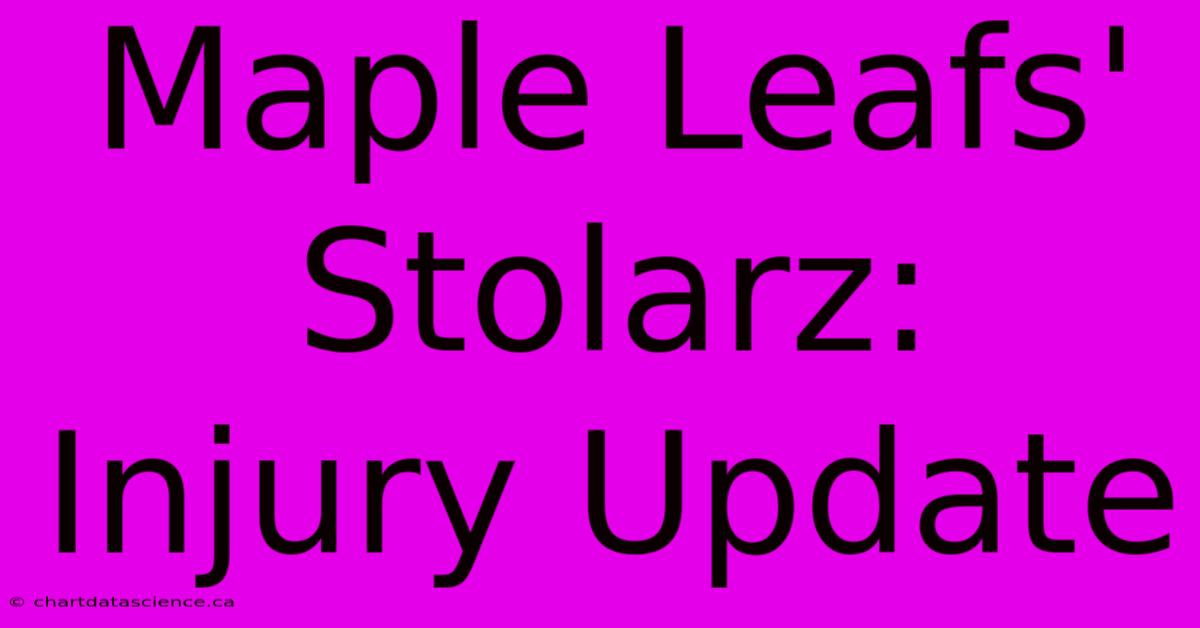 Maple Leafs' Stolarz: Injury Update