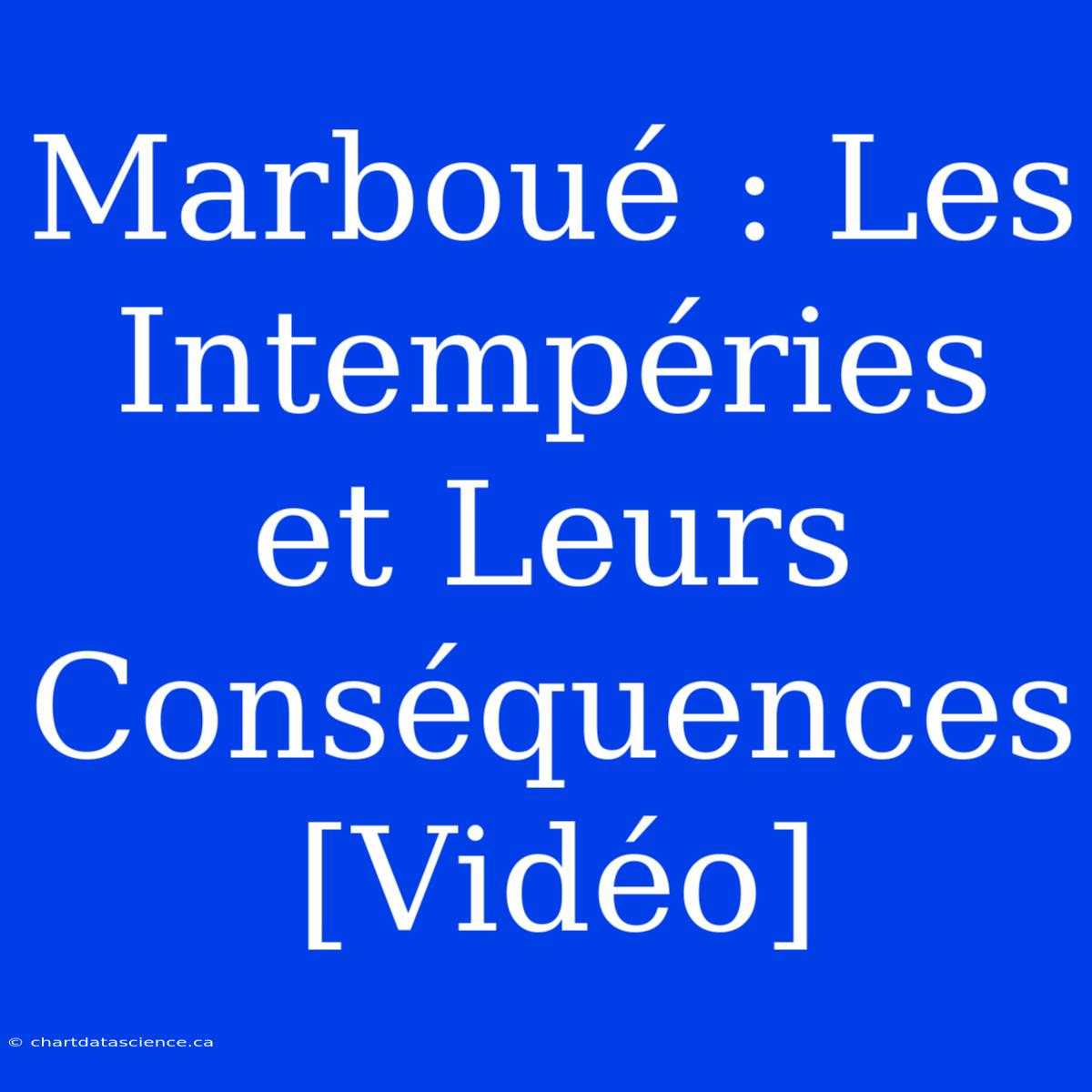 Marboué : Les Intempéries Et Leurs Conséquences [Vidéo]