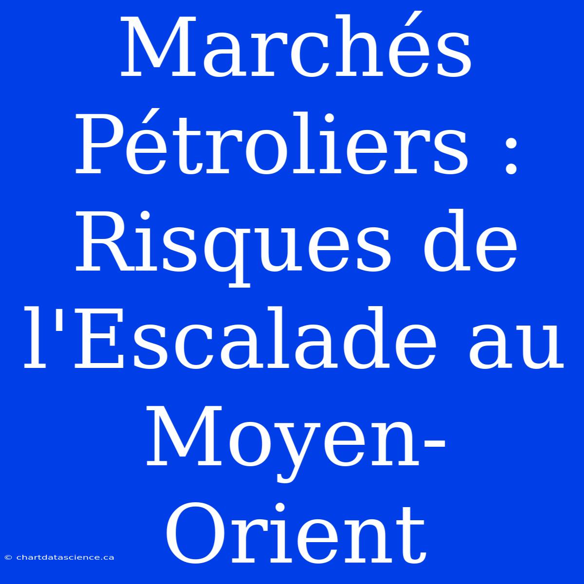 Marchés Pétroliers : Risques De L'Escalade Au Moyen-Orient