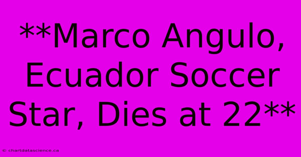 **Marco Angulo, Ecuador Soccer Star, Dies At 22**