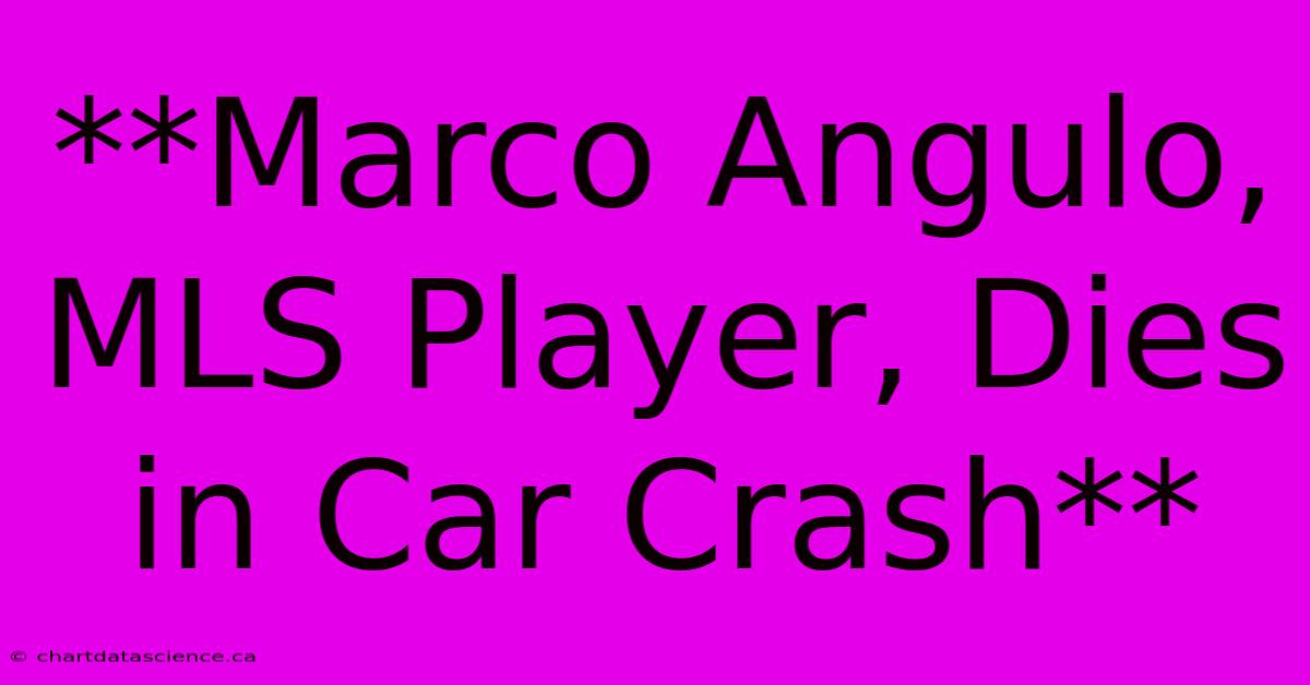 **Marco Angulo, MLS Player, Dies In Car Crash**