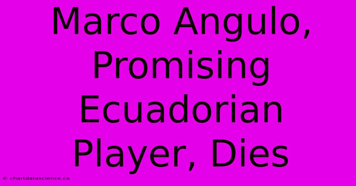 Marco Angulo, Promising Ecuadorian Player, Dies 