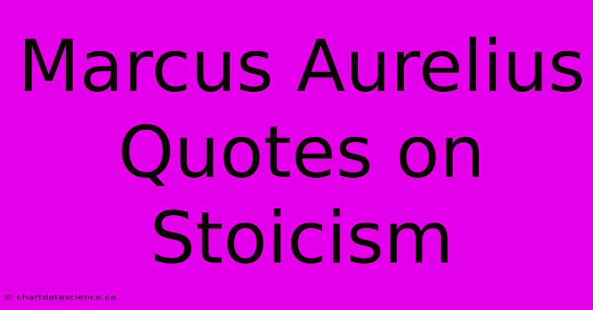 Marcus Aurelius Quotes On Stoicism 