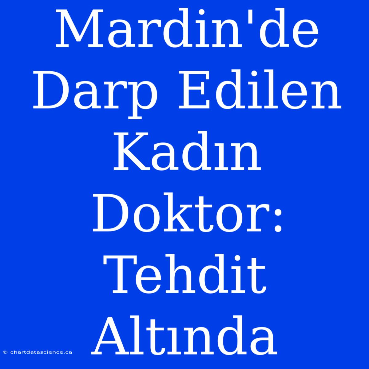 Mardin'de Darp Edilen Kadın Doktor: Tehdit Altında