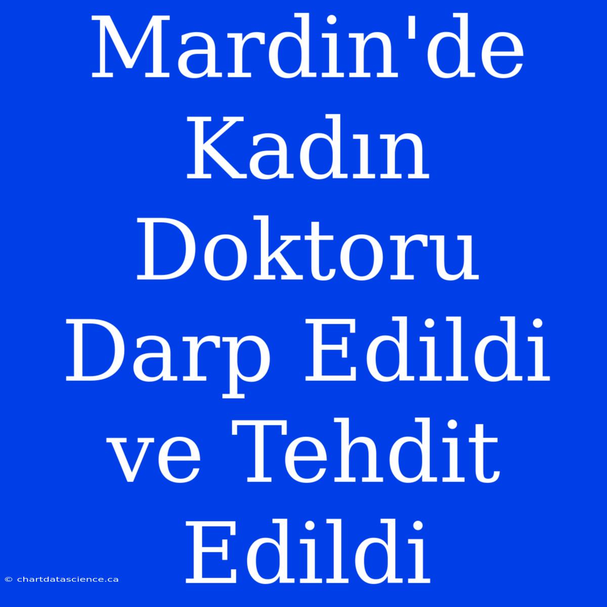 Mardin'de Kadın Doktoru Darp Edildi Ve Tehdit Edildi