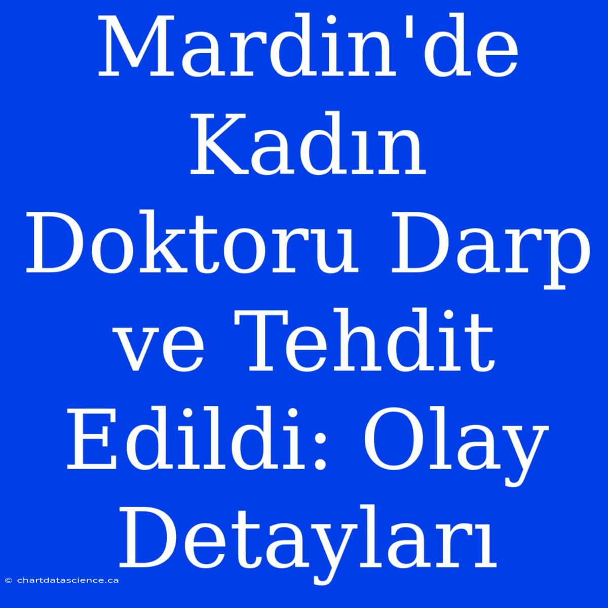 Mardin'de Kadın Doktoru Darp Ve Tehdit Edildi: Olay Detayları