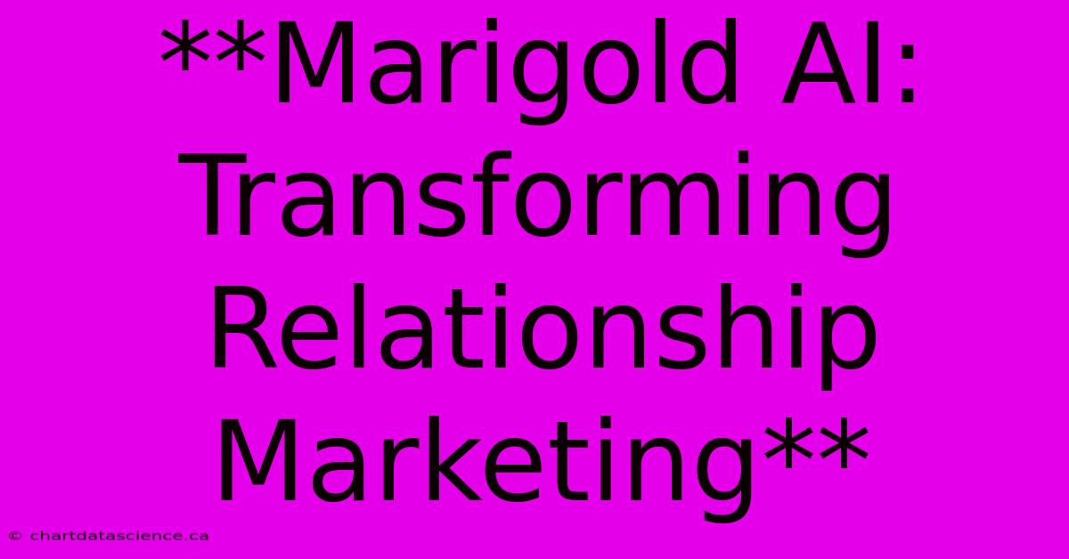 **Marigold AI: Transforming Relationship Marketing** 