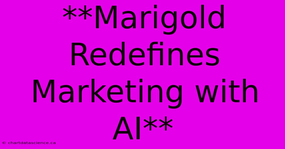 **Marigold Redefines Marketing With AI**