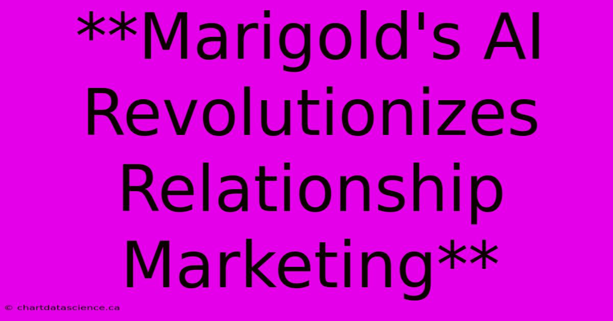 **Marigold's AI Revolutionizes Relationship Marketing**