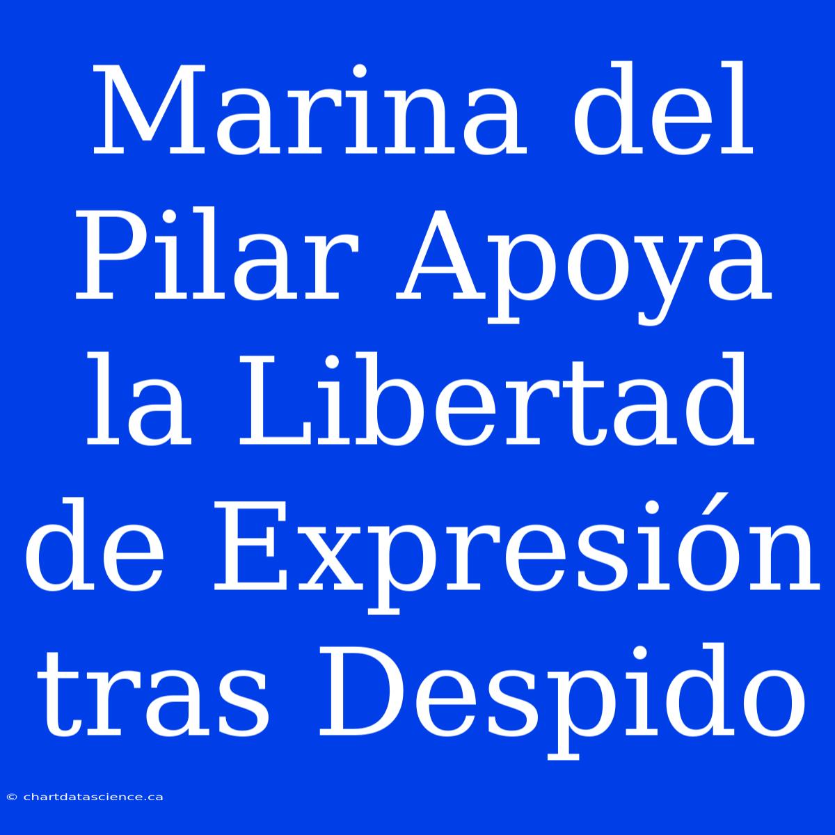 Marina Del Pilar Apoya La Libertad De Expresión Tras Despido