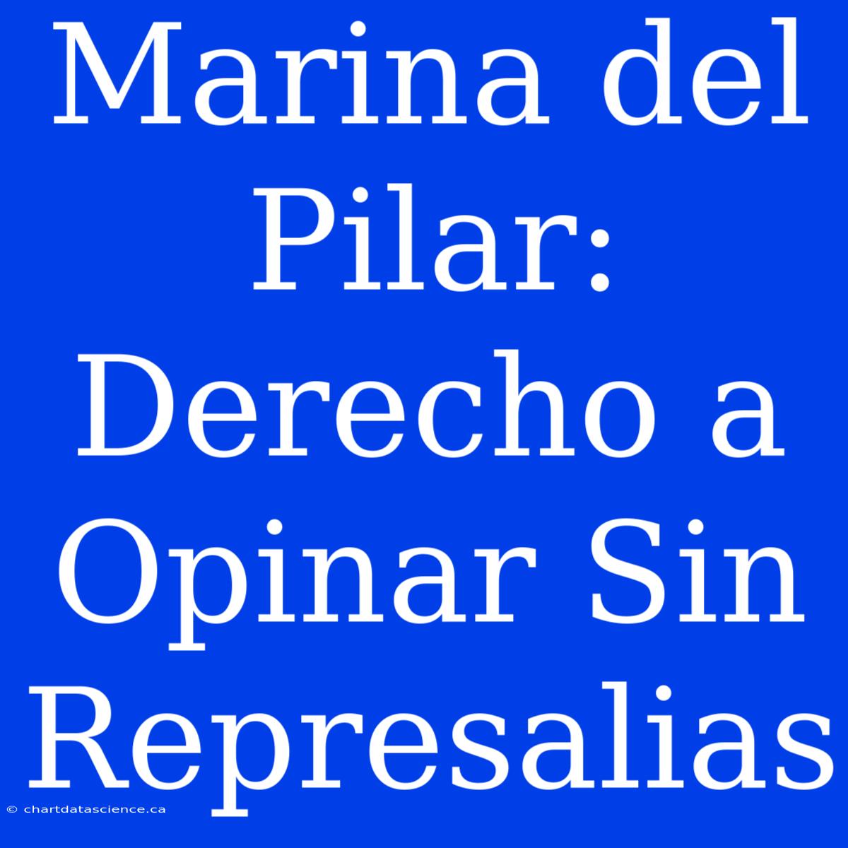 Marina Del Pilar: Derecho A Opinar Sin Represalias