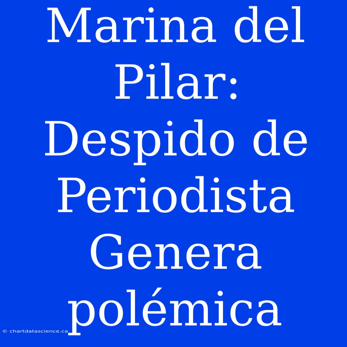 Marina Del Pilar: Despido De Periodista Genera Polémica