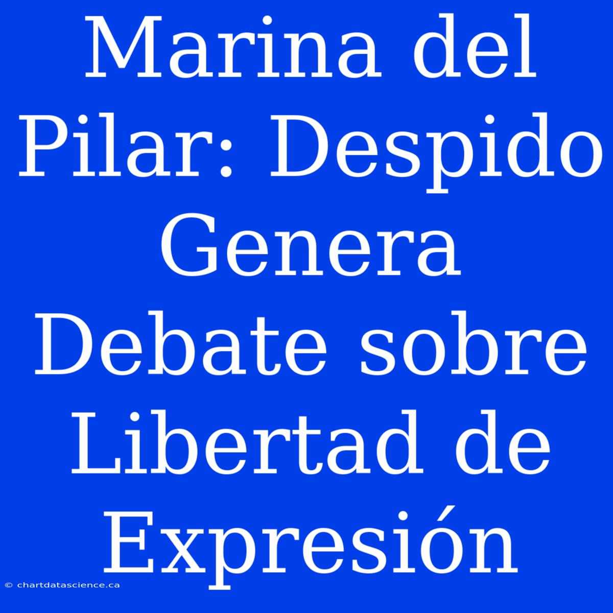 Marina Del Pilar: Despido Genera Debate Sobre Libertad De Expresión