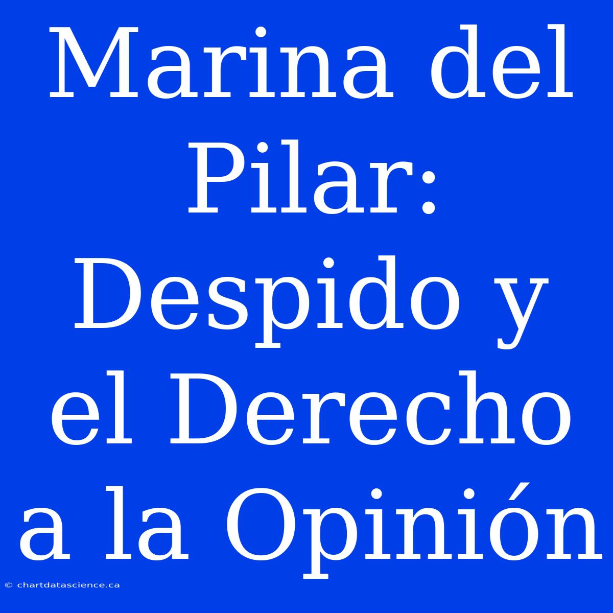 Marina Del Pilar: Despido Y El Derecho A La Opinión