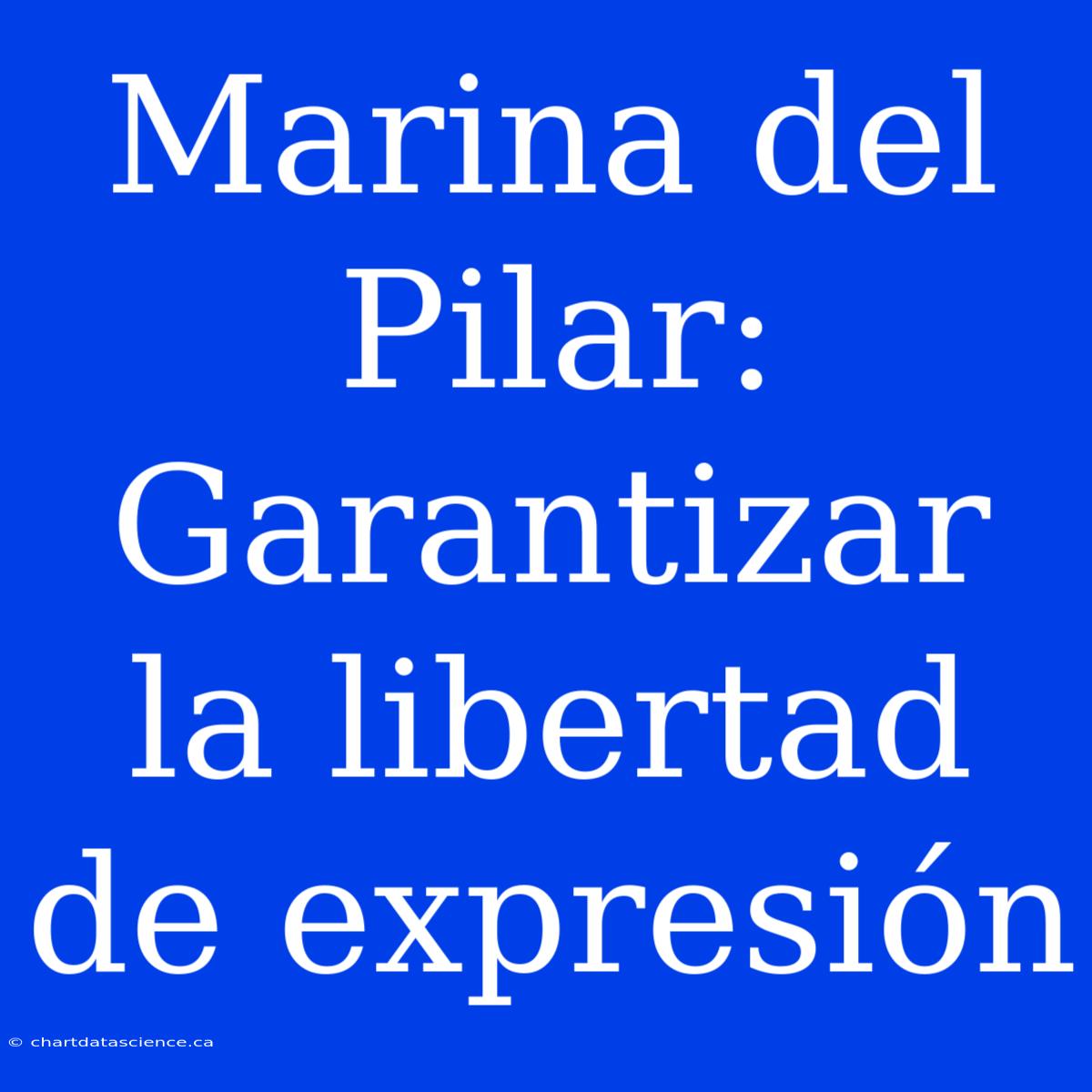 Marina Del Pilar: Garantizar La Libertad De Expresión