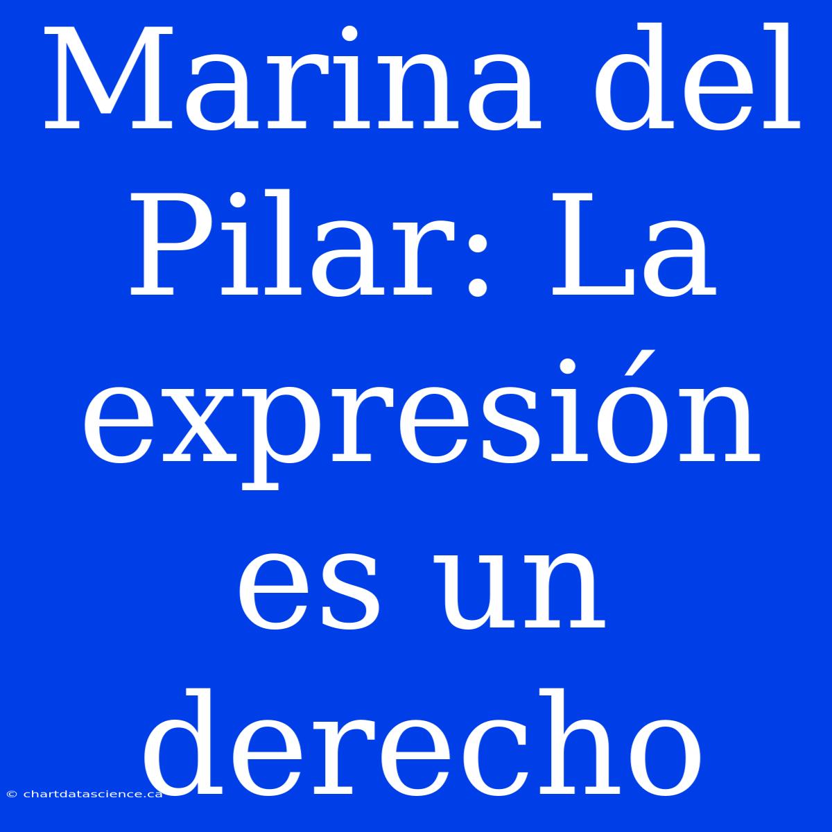 Marina Del Pilar: La Expresión Es Un Derecho