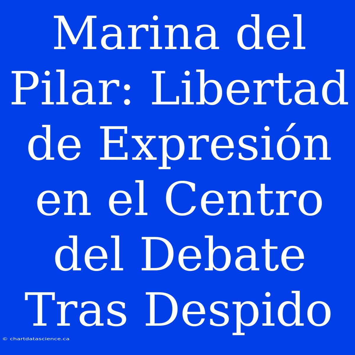 Marina Del Pilar: Libertad De Expresión En El Centro Del Debate Tras Despido