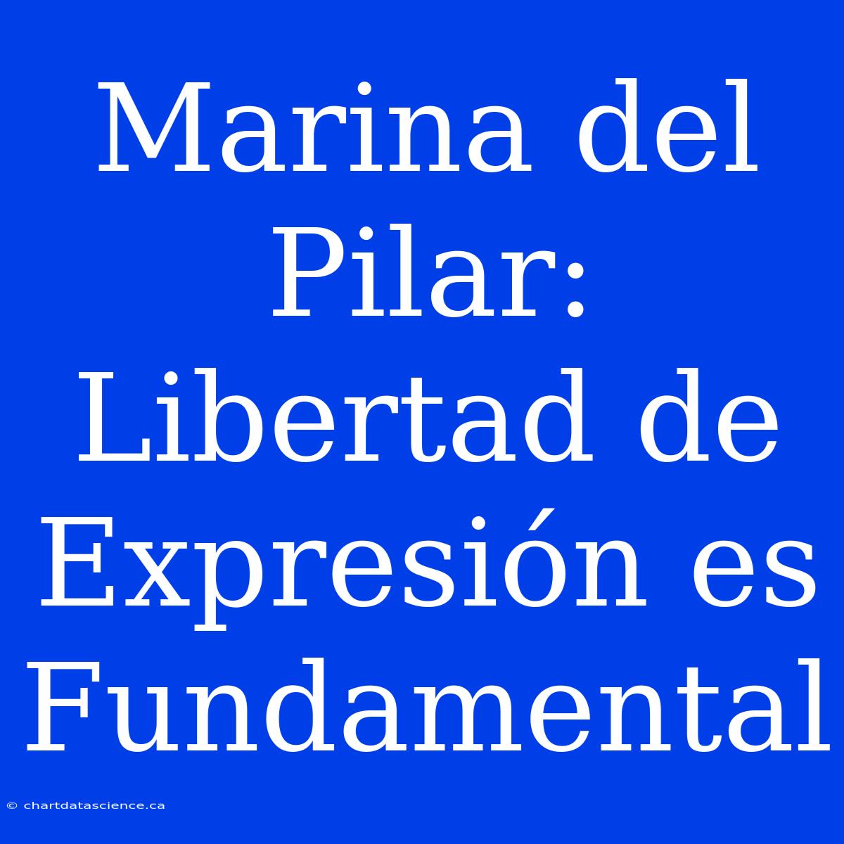 Marina Del Pilar: Libertad De Expresión Es Fundamental