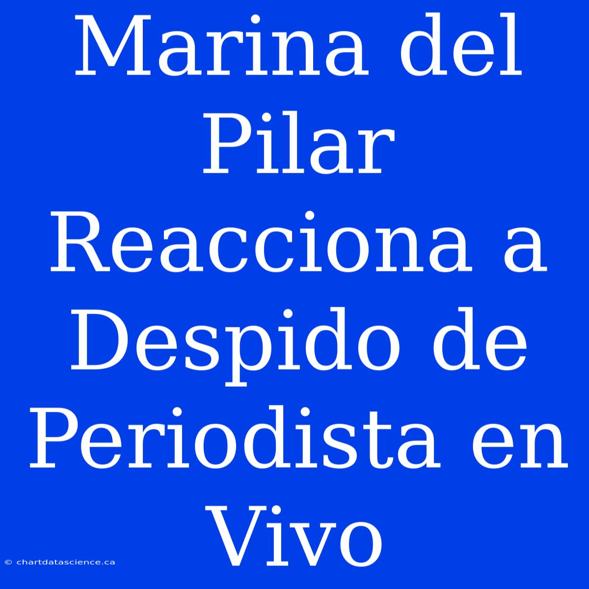 Marina Del Pilar Reacciona A Despido De Periodista En Vivo