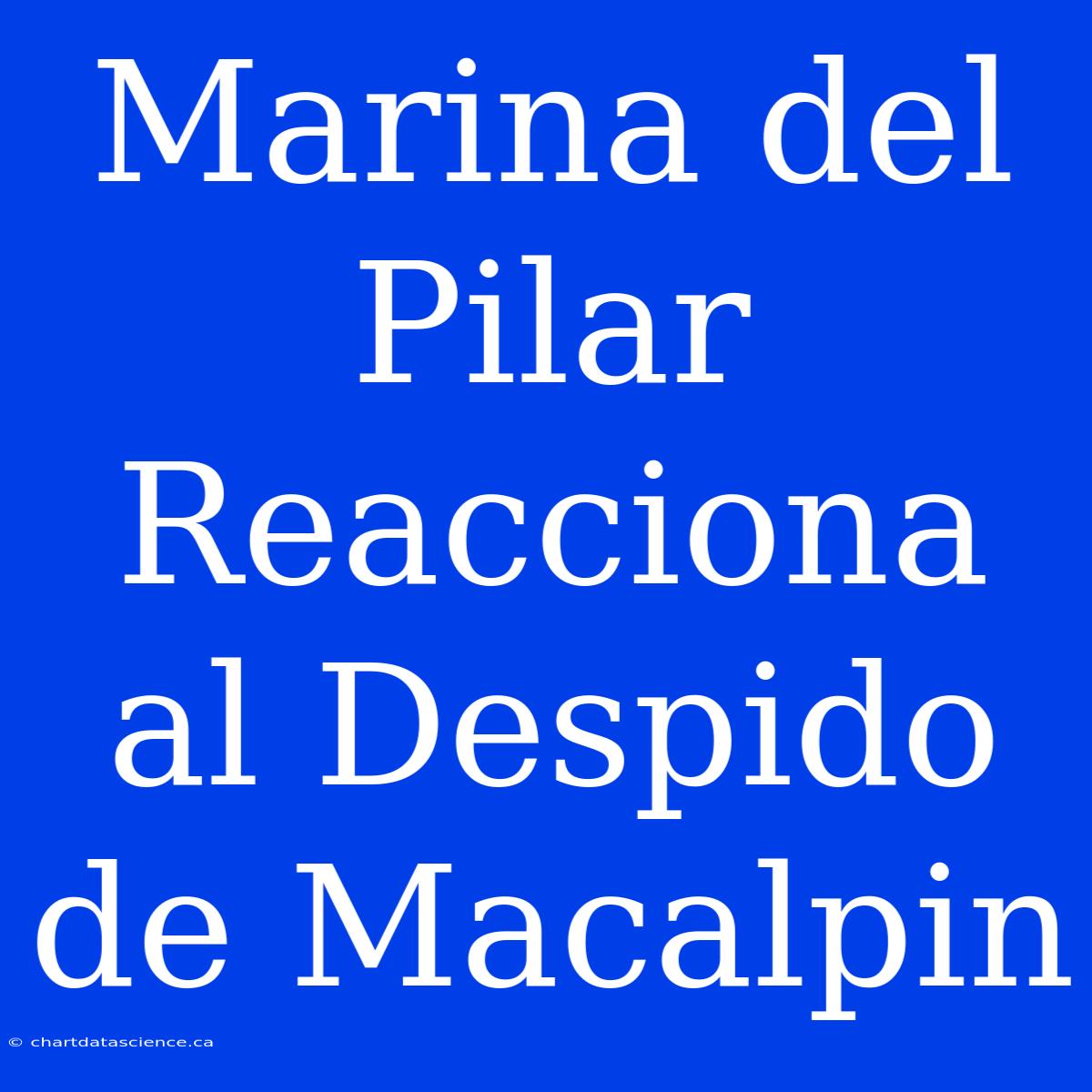 Marina Del Pilar Reacciona Al Despido De Macalpin