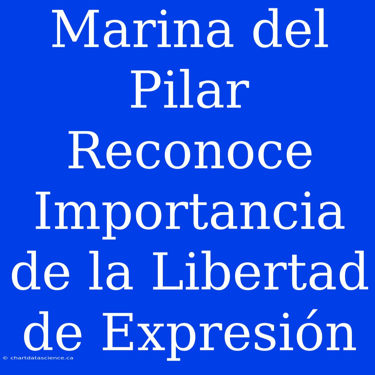 Marina Del Pilar Reconoce Importancia De La Libertad De Expresión