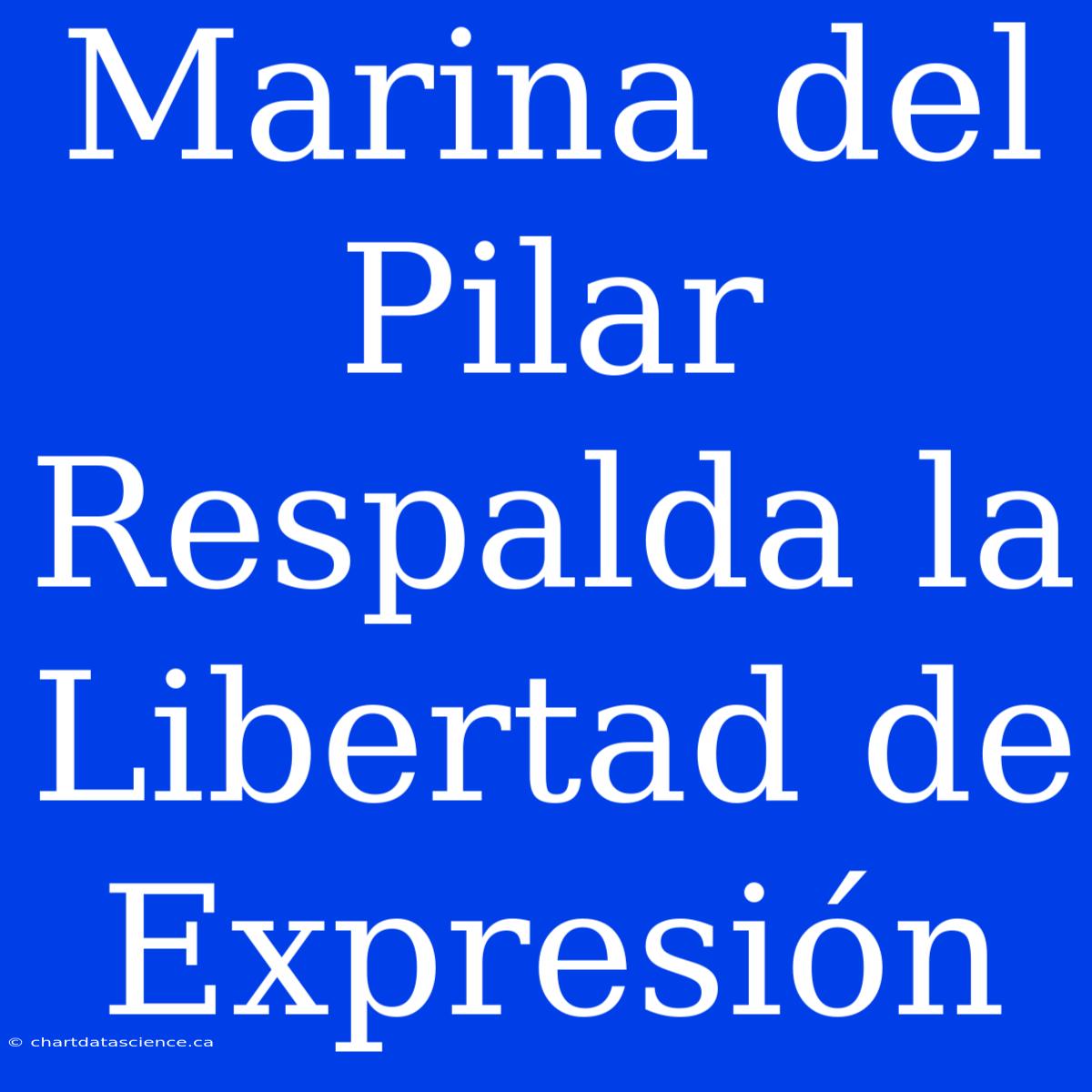 Marina Del Pilar Respalda La Libertad De Expresión