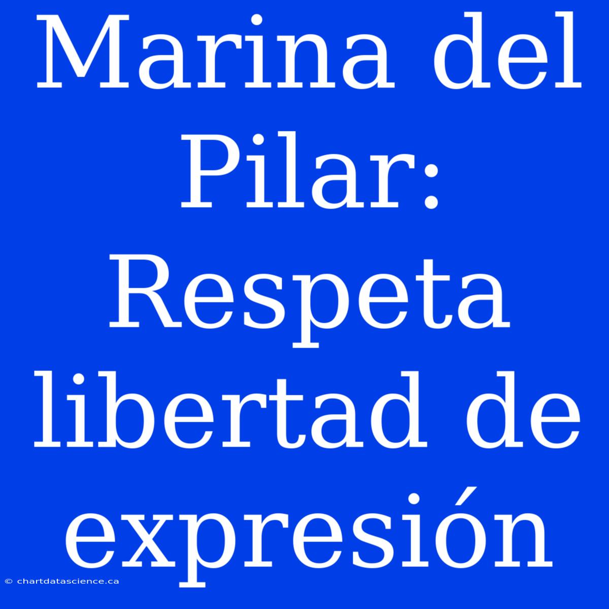 Marina Del Pilar: Respeta Libertad De Expresión