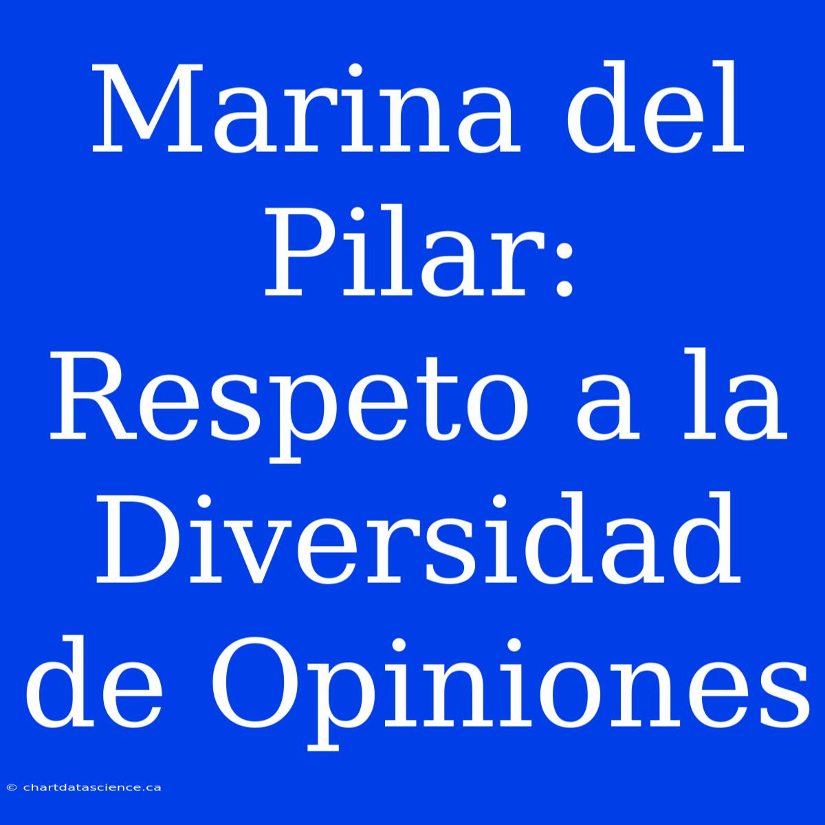 Marina Del Pilar: Respeto A La Diversidad De Opiniones