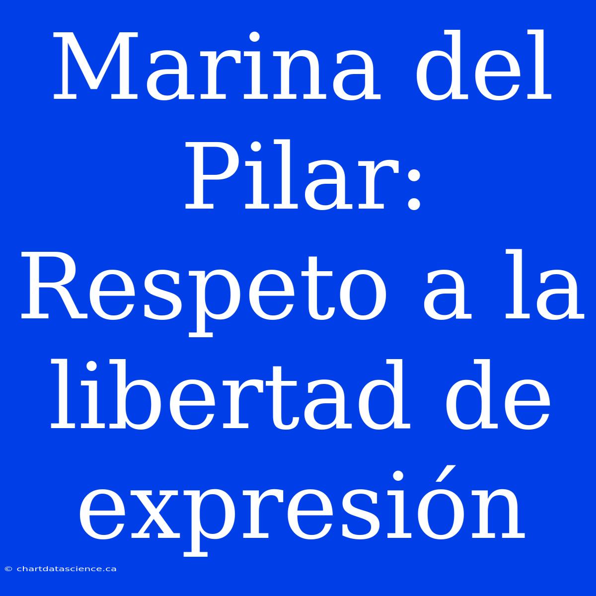 Marina Del Pilar: Respeto A La Libertad De Expresión