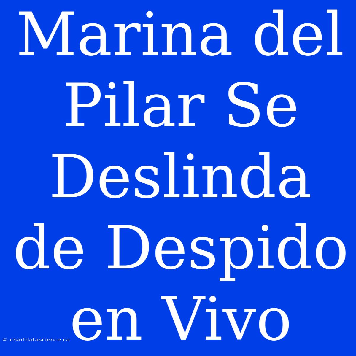 Marina Del Pilar Se Deslinda De Despido En Vivo