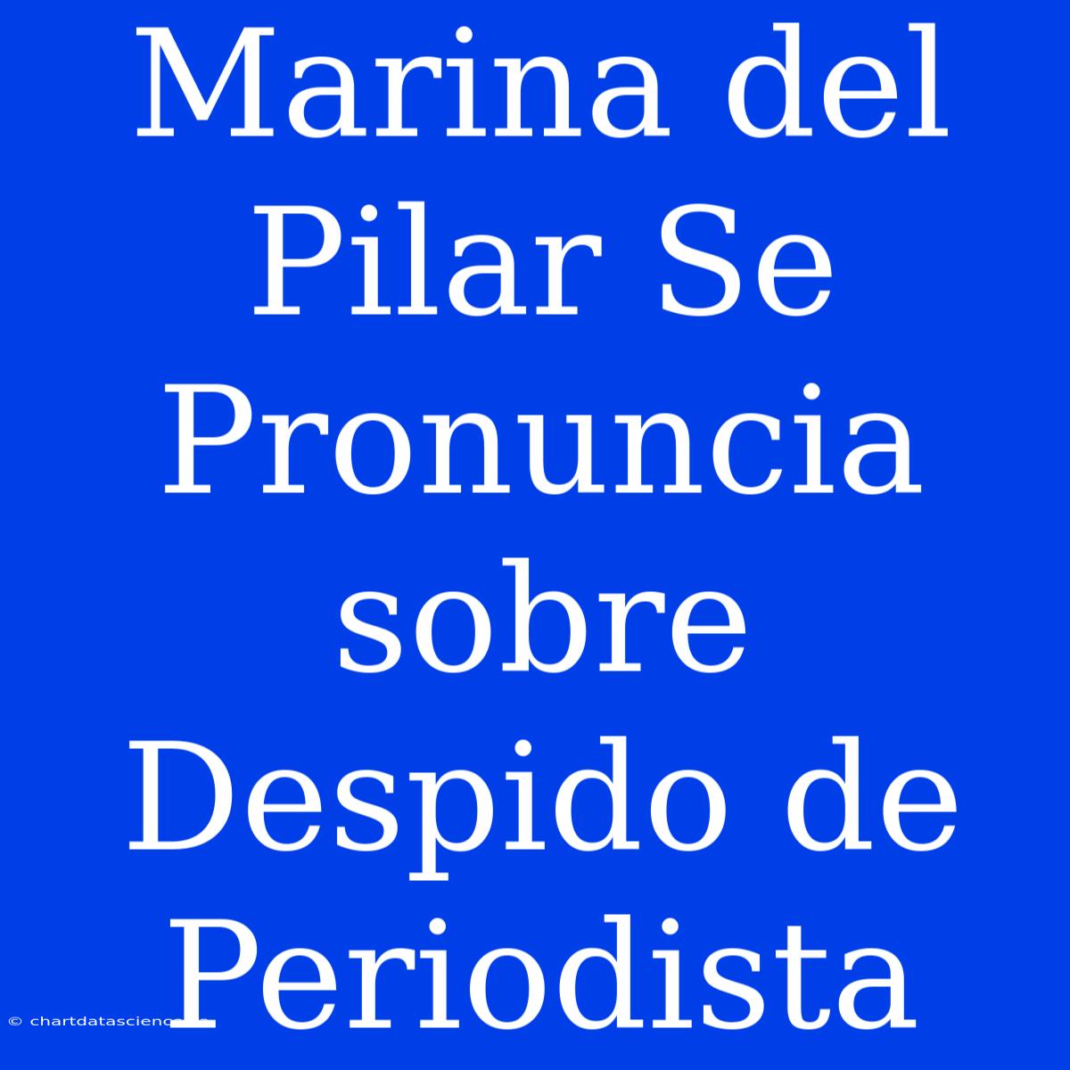 Marina Del Pilar Se Pronuncia Sobre Despido De Periodista