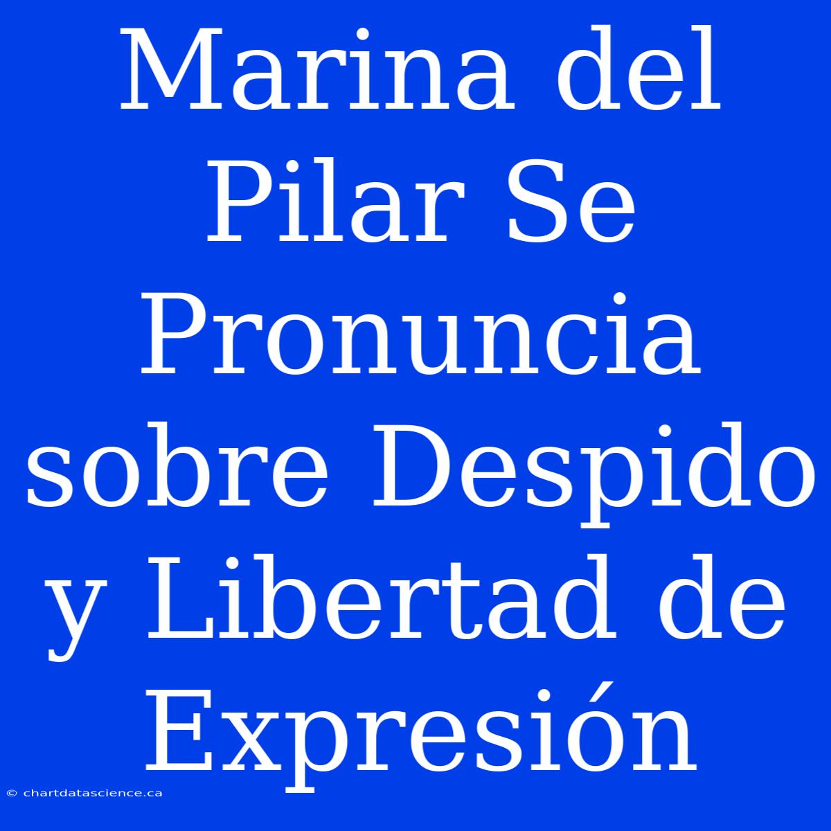 Marina Del Pilar Se Pronuncia Sobre Despido Y Libertad De Expresión