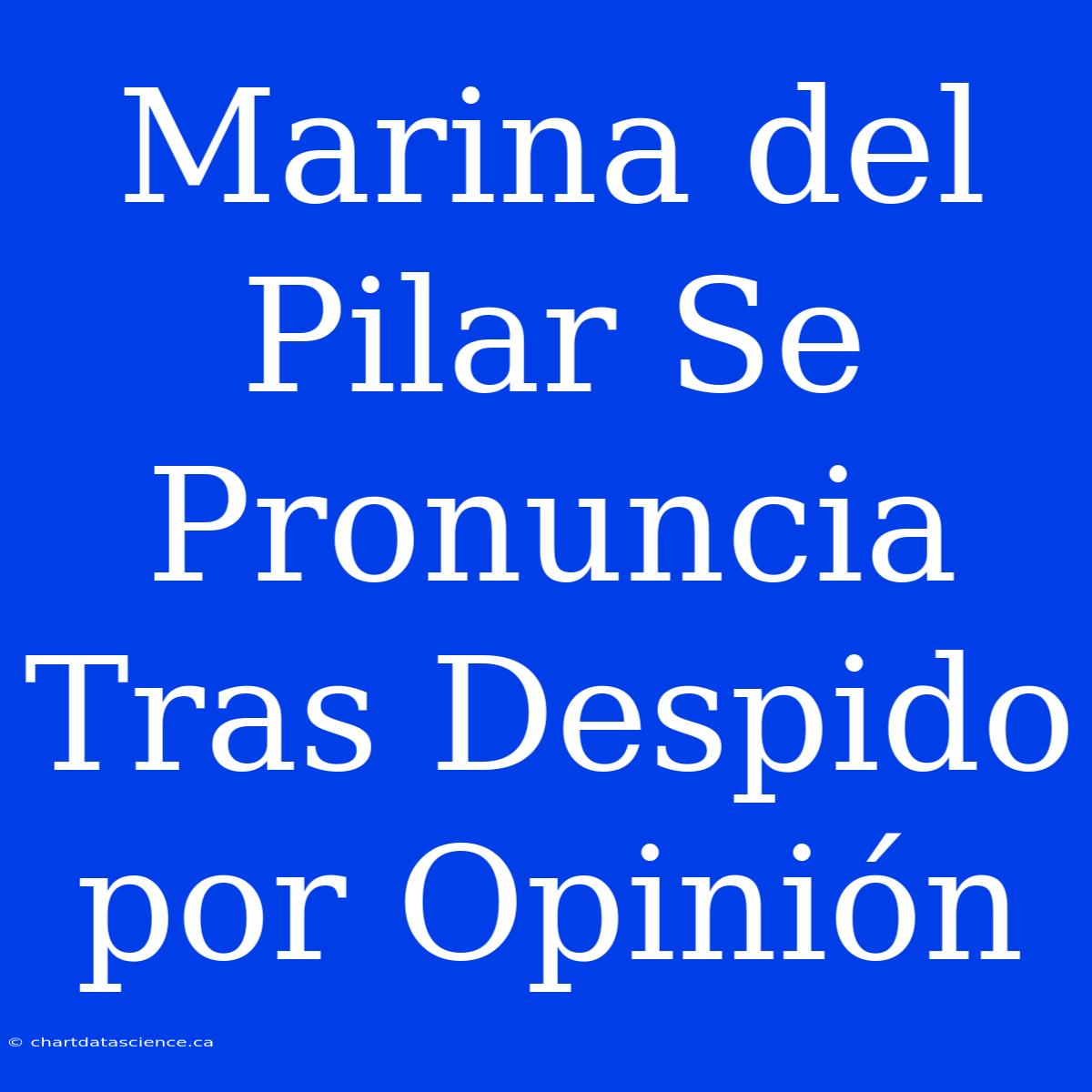 Marina Del Pilar Se Pronuncia Tras Despido Por Opinión