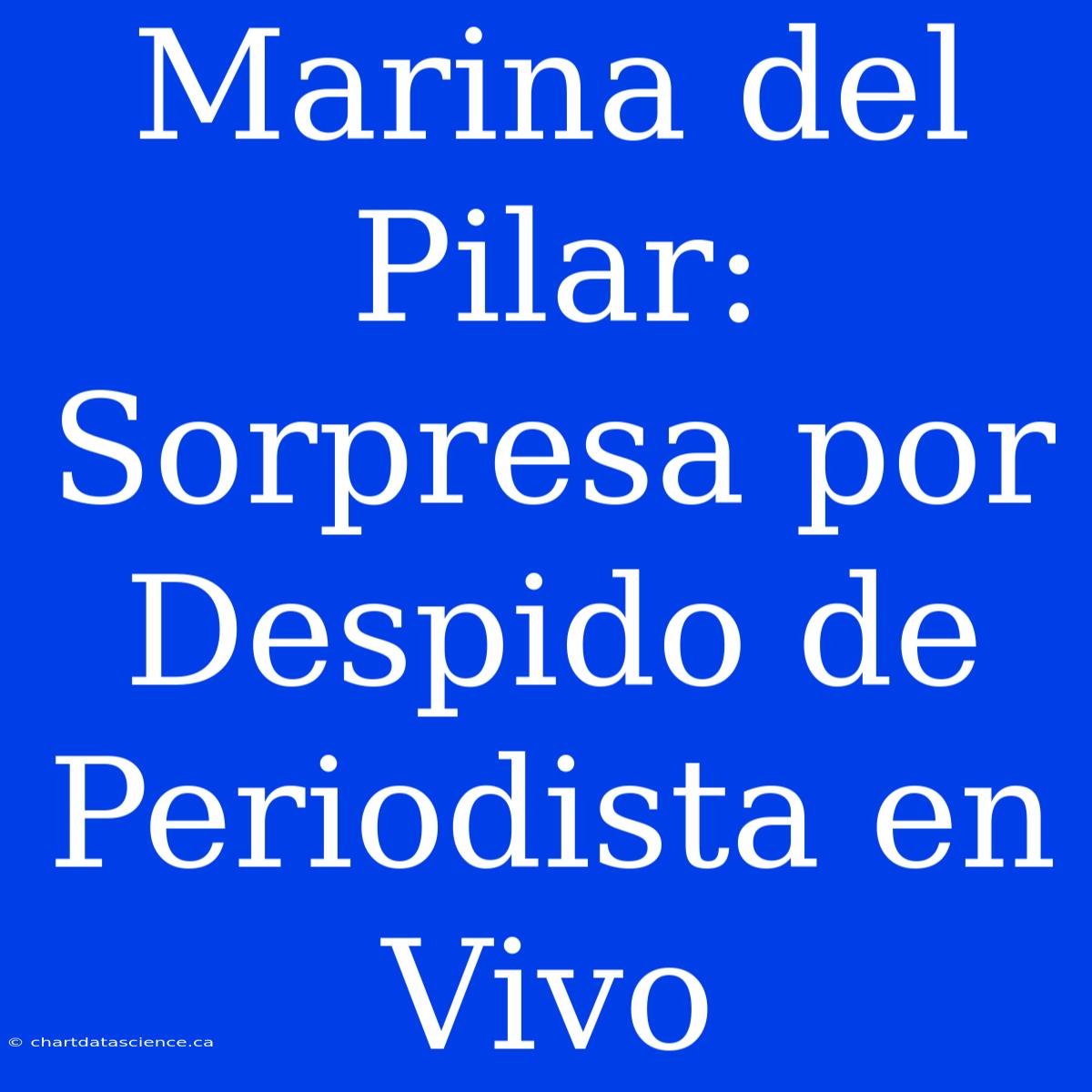 Marina Del Pilar: Sorpresa Por Despido De Periodista En Vivo