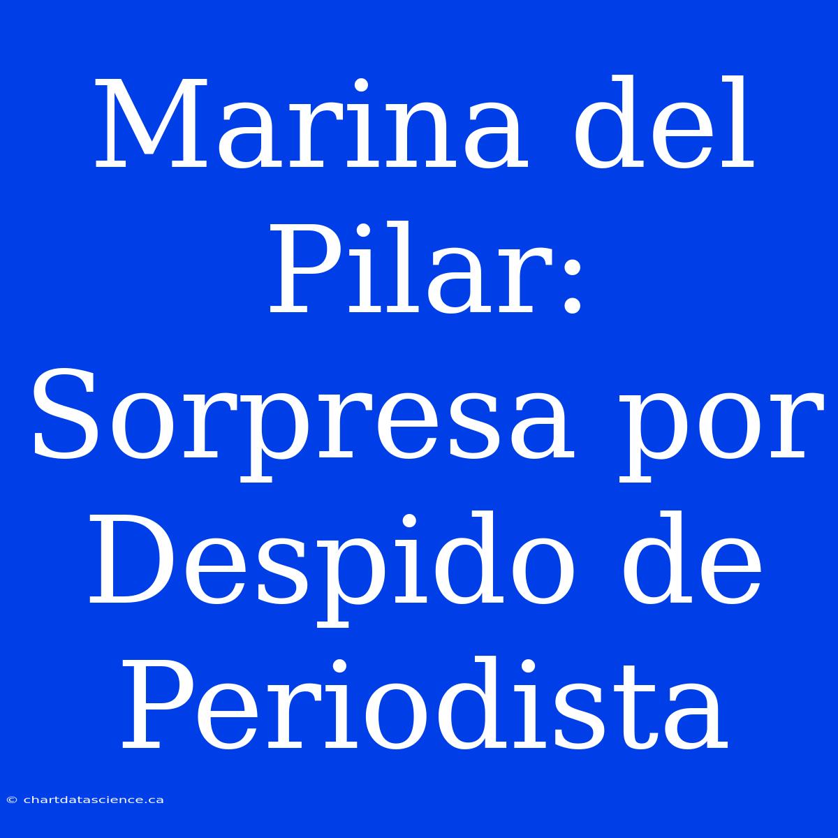 Marina Del Pilar: Sorpresa Por Despido De Periodista