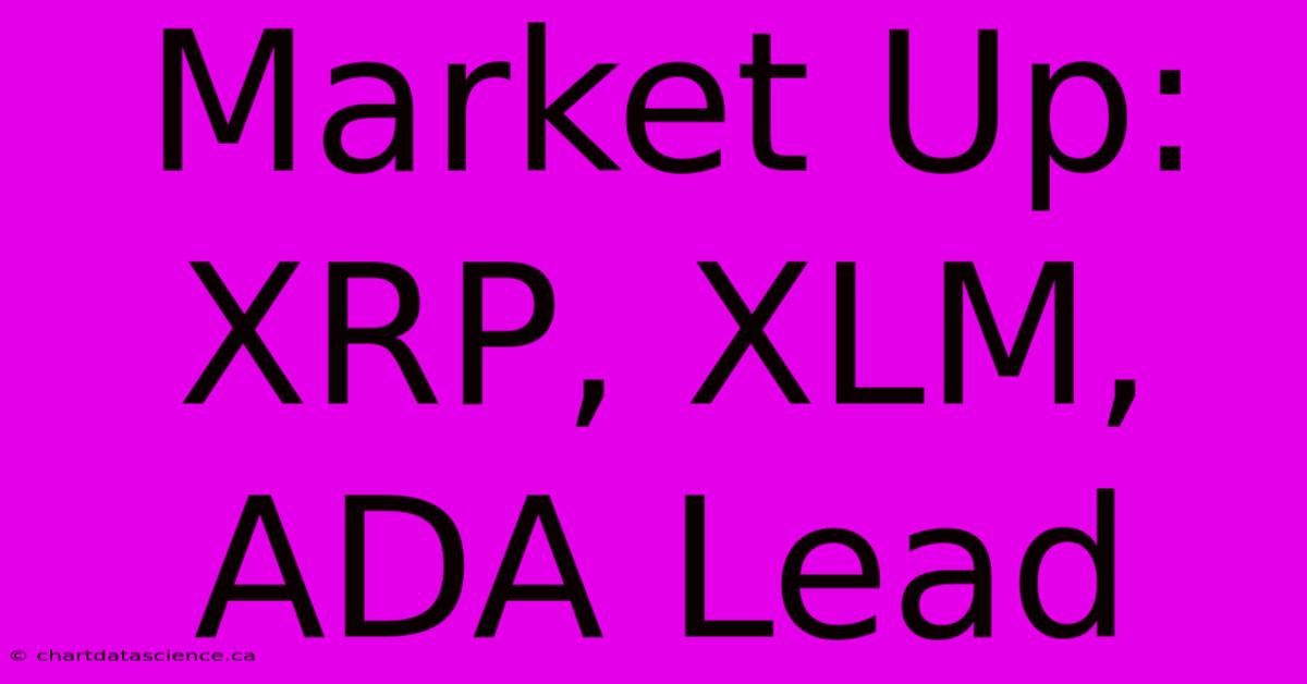 Market Up: XRP, XLM, ADA Lead