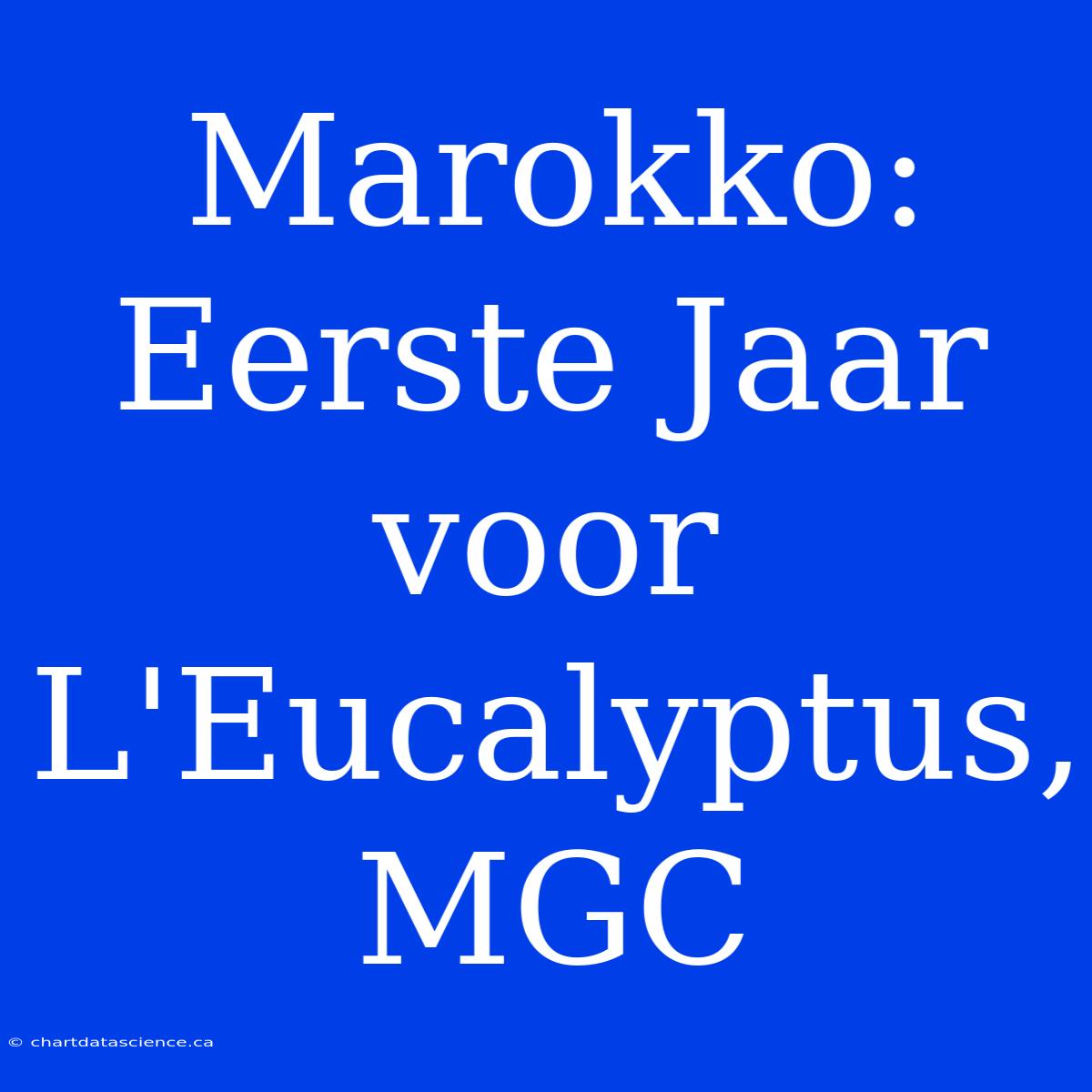 Marokko: Eerste Jaar Voor L'Eucalyptus, MGC