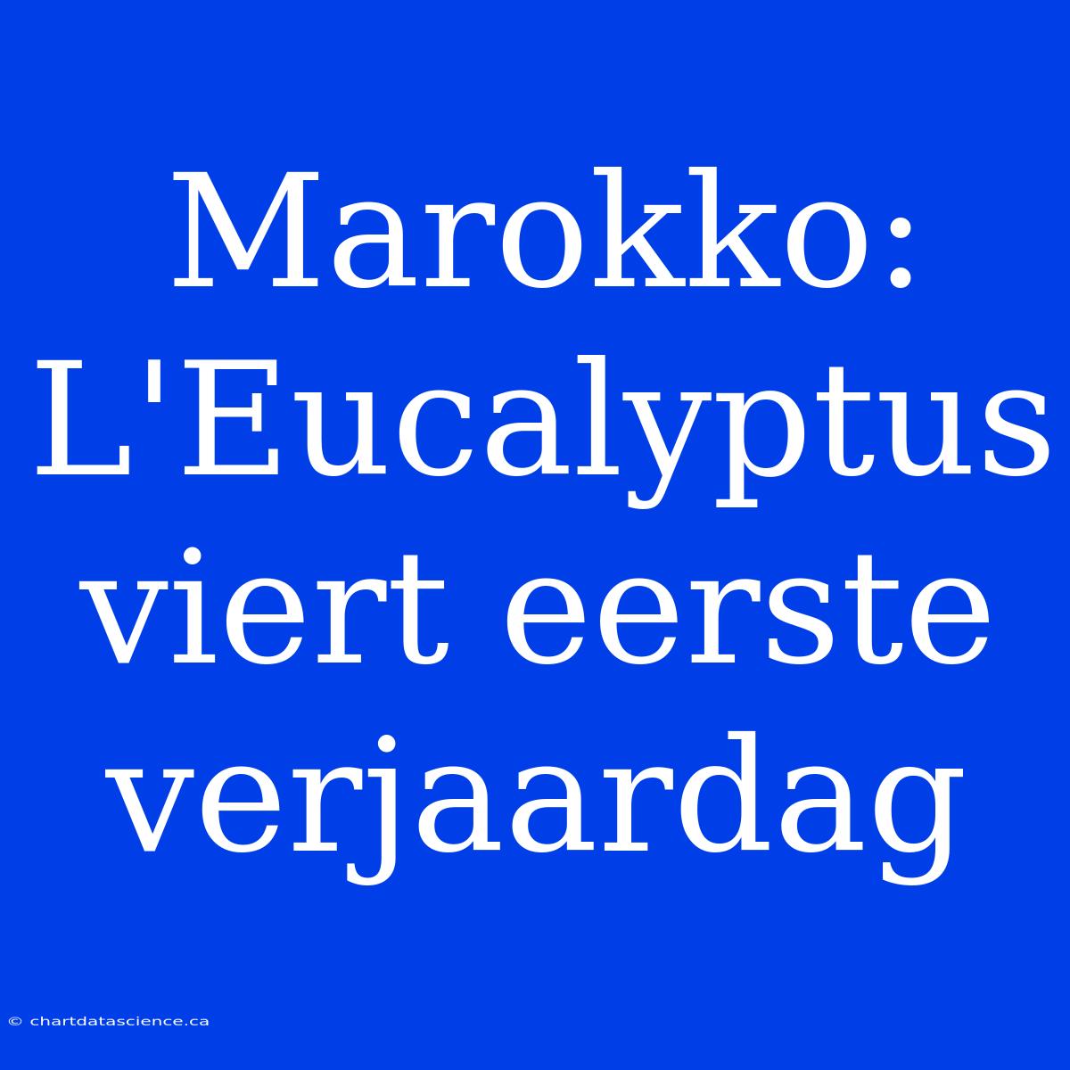 Marokko: L'Eucalyptus Viert Eerste Verjaardag