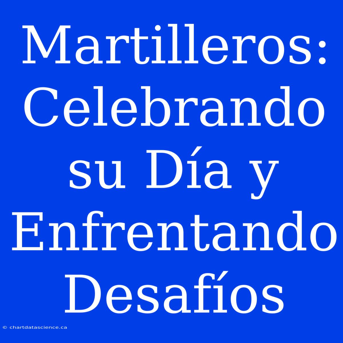 Martilleros: Celebrando Su Día Y Enfrentando Desafíos