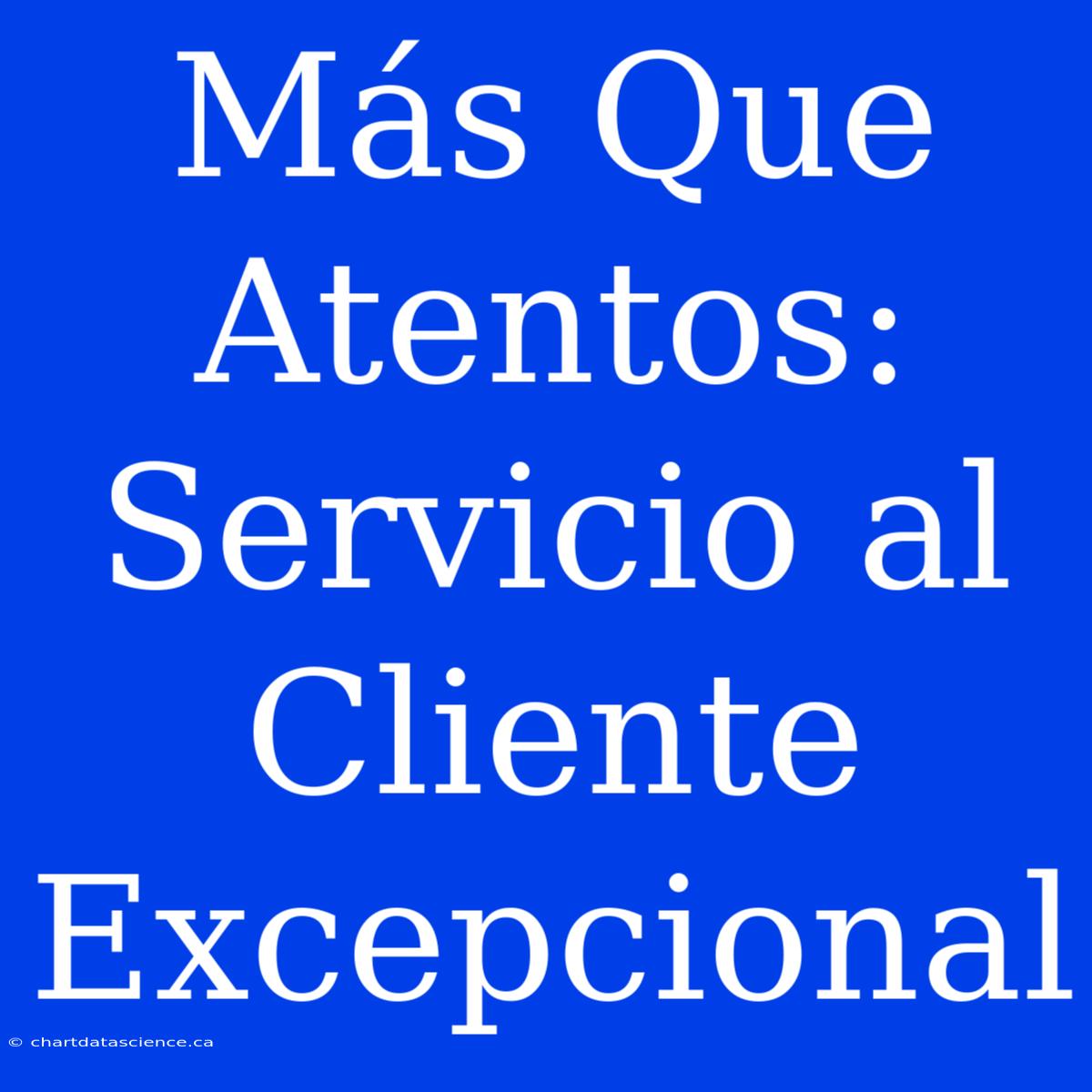 Más Que Atentos: Servicio Al Cliente Excepcional