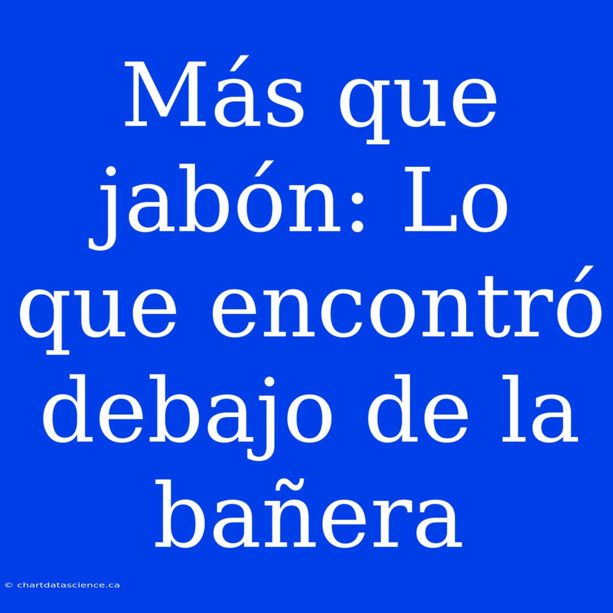 Más Que Jabón: Lo Que Encontró Debajo De La Bañera