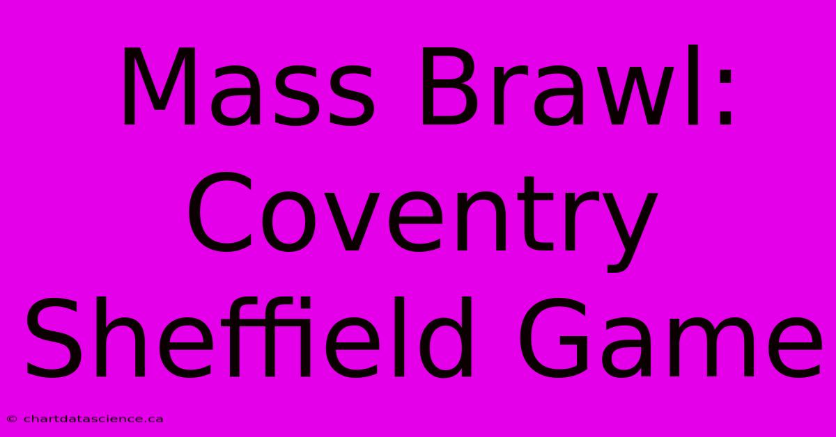 Mass Brawl: Coventry Sheffield Game