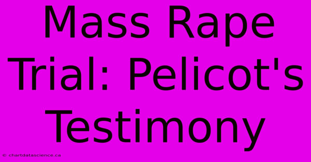 Mass Rape Trial: Pelicot's Testimony