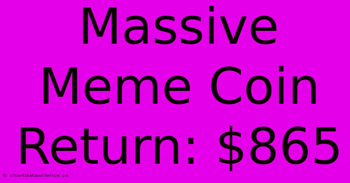 Massive Meme Coin Return: $865