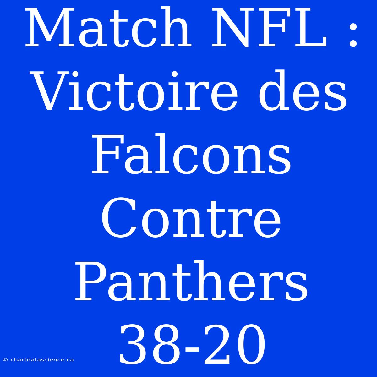 Match NFL : Victoire Des Falcons Contre Panthers 38-20