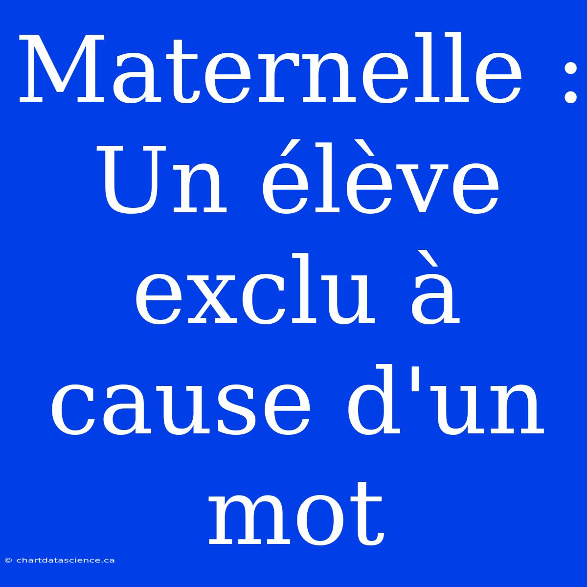 Maternelle : Un Élève Exclu À Cause D'un Mot