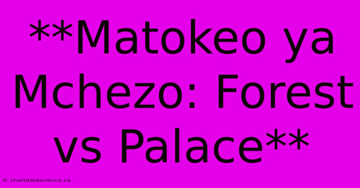 **Matokeo Ya Mchezo: Forest Vs Palace** 