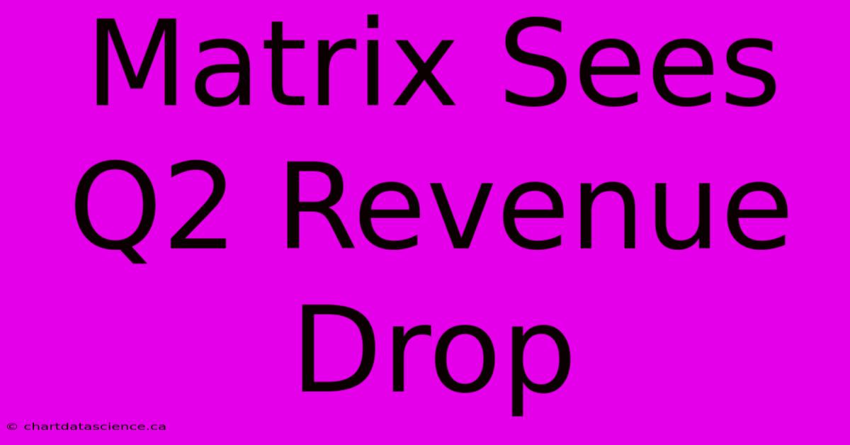 Matrix Sees Q2 Revenue Drop