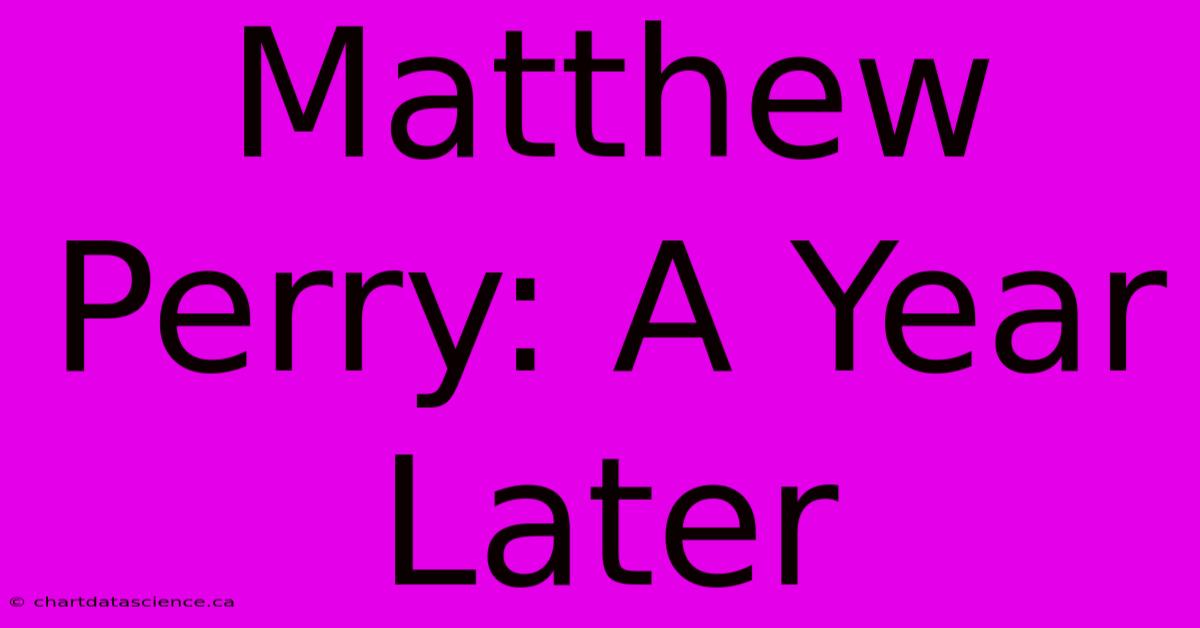 Matthew Perry: A Year Later